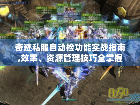 奇迹私服自动捡功能实战指南,效率、资源管理技巧全掌握 奇迹私服自动捡功能实战指南,效率、资源管理技巧全掌握