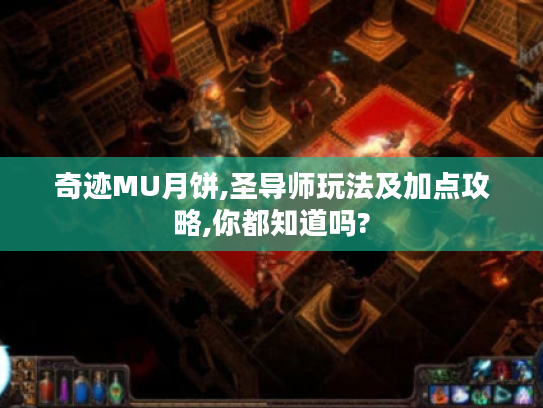 奇迹MU月饼,圣导师玩法及加点攻略,你都知道吗? 奇迹MU月饼,圣导师玩法及加点攻略,你都知道吗?