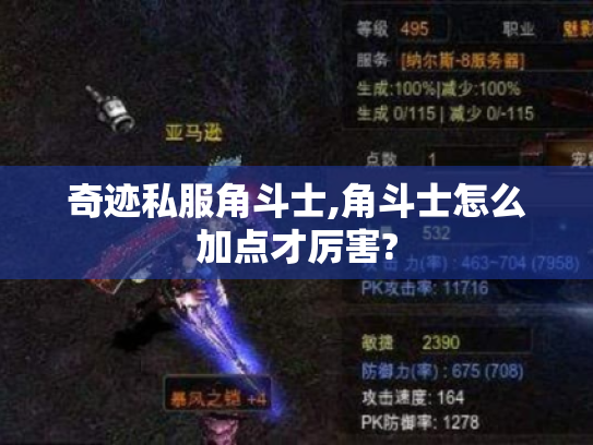 奇迹私服角斗士,角斗士怎么加点才厉害? 奇迹私服角斗士,角斗士怎么加点才厉害?