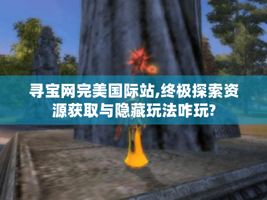寻宝网完美国际站,终极探索资源获取与隐藏玩法咋玩?