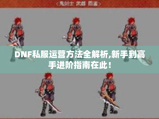 DNF私服运营方法全解析,新手到高手进阶指南在此! DNF私服运营方法全解析,新手到高手进阶指南在此!