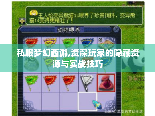 私服梦幻西游,资深玩家的隐藏资源与实战技巧 私服梦幻西游,资深玩家的隐藏资源与实战技巧