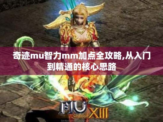 奇迹mu智力mm加点全攻略,从入门到精通的核心思路