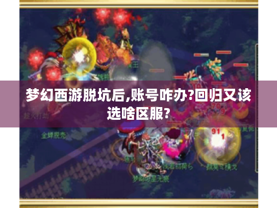 梦幻西游脱坑后,账号咋办?回归又该选啥区服? 梦幻西游脱坑后,账号咋办?回归又该选啥区服?