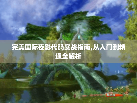 完美国际夜影代码实战指南,从入门到精通全解析 完美国际夜影代码实战指南,从入门到精通全解析