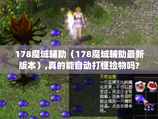 178魔域辅助(178魔域辅助最新版本),真的能自动打怪捡物吗? 178魔域辅助(178魔域辅助最新版本),真的能自动打怪捡物吗?
