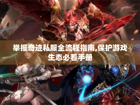 举报奇迹私服全流程指南,保护游戏生态必看手册 举报奇迹私服全流程指南,保护游戏生态必看手册