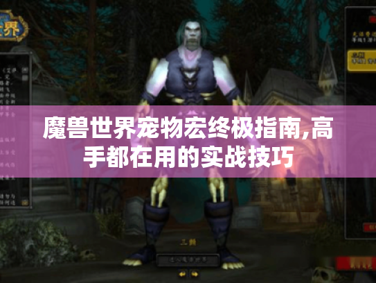魔兽世界宠物宏终极指南,高手都在用的实战技巧 魔兽世界宠物宏终极指南,高手都在用的实战技巧