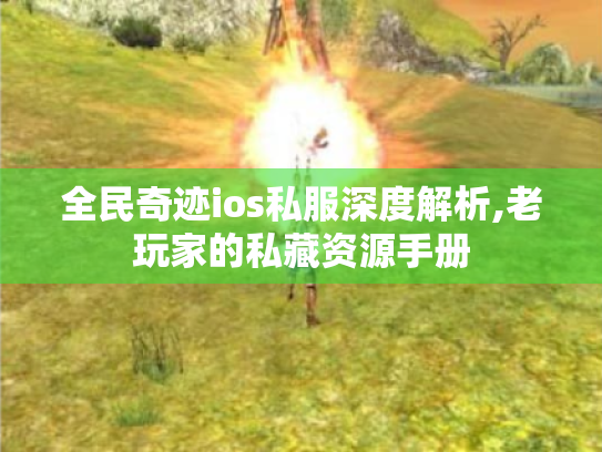 全民奇迹ios私服深度解析,老玩家的私藏资源手册 全民奇迹ios私服深度解析,老玩家的私藏资源手册