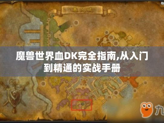 魔兽世界血DK完全指南,从入门到精通的实战手册 魔兽世界血DK完全指南,从入门到精通的实战手册