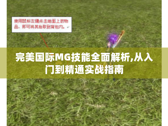 完美国际MG技能全面解析,从入门到精通实战指南