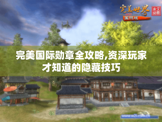 完美国际勋章全攻略,资深玩家才知道的隐藏技巧 完美国际勋章全攻略,资深玩家才知道的隐藏技巧