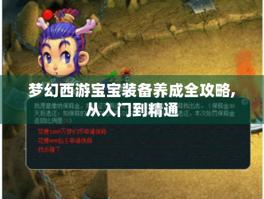 梦幻西游宝宝装备养成全攻略,从入门到精通 梦幻西游宝宝装备养成全攻略,从入门到精通