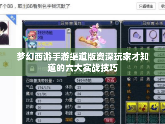 梦幻西游手游渠道版资深玩家才知道的六大实战技巧 梦幻西游手游渠道版资深玩家才知道的六大实战技巧