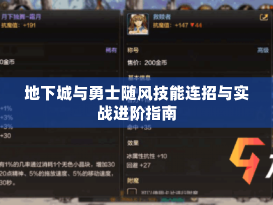 地下城与勇士随风技能连招与实战进阶指南 地下城与勇士随风技能连招与实战进阶指南