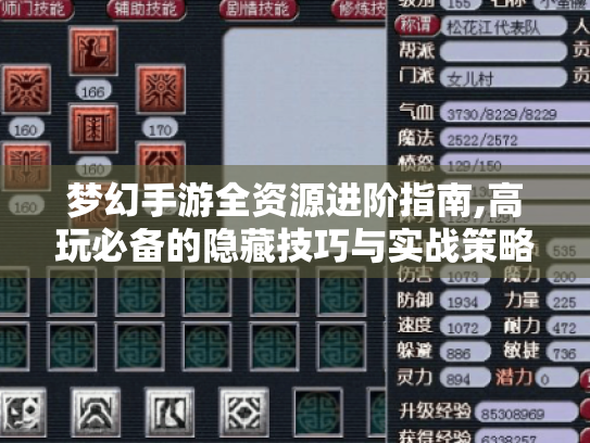 梦幻手游全资源进阶指南,高玩必备的隐藏技巧与实战策略 梦幻手游全资源进阶指南,高玩必备的隐藏技巧与实战策略