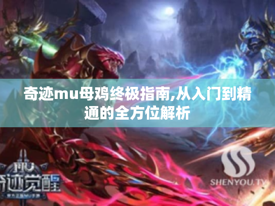 奇迹mu母鸡终极指南,从入门到精通的全方位解析 奇迹mu母鸡终极指南,从入门到精通的全方位解析