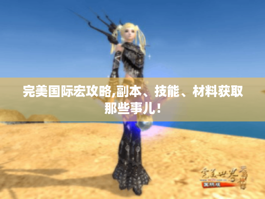 完美国际宏攻略,副本、技能、材料获取那些事儿! 完美国际宏攻略,副本、技能、材料获取那些事儿!