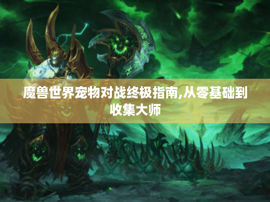 魔兽世界宠物对战终极指南,从零基础到收集大师