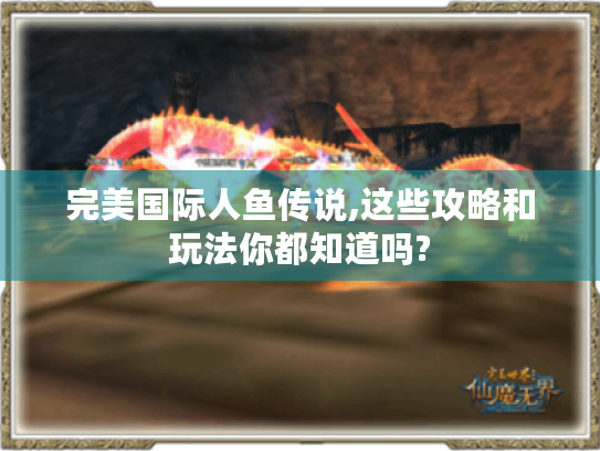 完美国际人鱼传说,这些攻略和玩法你都知道吗? 完美国际人鱼传说,这些攻略和玩法你都知道吗?
