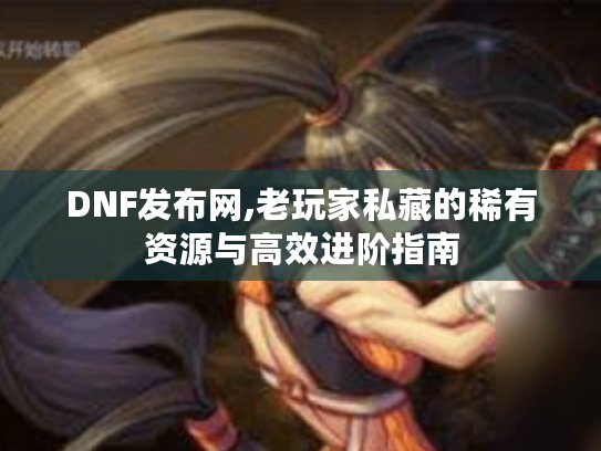 DNF发布网,老玩家私藏的稀有资源与高效进阶指南 DNF发布网,老玩家私藏的稀有资源与高效进阶指南