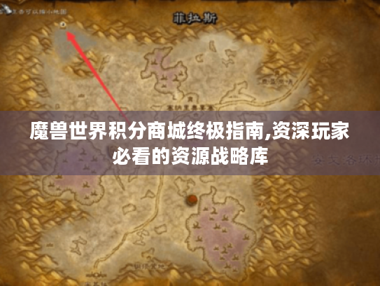 魔兽世界积分商城终极指南,资深玩家必看的资源战略库 魔兽世界积分商城终极指南,资深玩家必看的资源战略库
