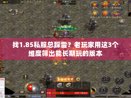 找1.85私服总踩雷？老玩家用这3个维度筛出能长期玩的版本
