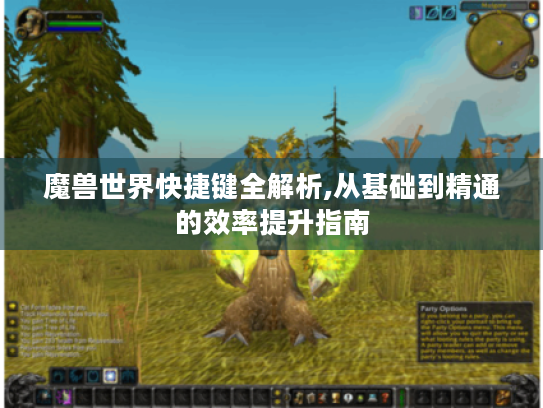 魔兽世界快捷键全解析,从基础到精通的效率提升指南 魔兽世界快捷键全解析,从基础到精通的效率提升指南