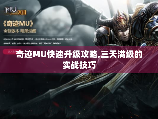 奇迹MU快速升级攻略,三天满级的实战技巧 奇迹MU快速升级攻略,三天满级的实战技巧