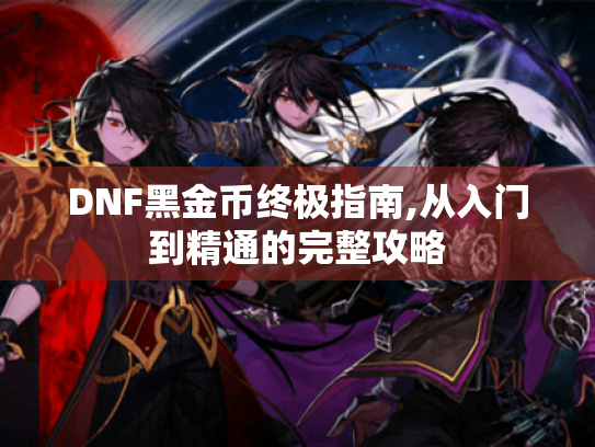 DNF黑金币终极指南,从入门到精通的完整攻略 DNF黑金币终极指南,从入门到精通的完整攻略