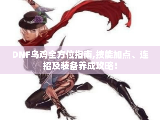 DNF乌鸡全方位指南,技能加点、连招及装备养成攻略! DNF乌鸡全方位指南,技能加点、连招及装备养成攻略!