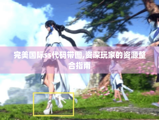 完美国际ss代码带图,资深玩家的资源整合指南 完美国际ss代码带图,资深玩家的资源整合指南