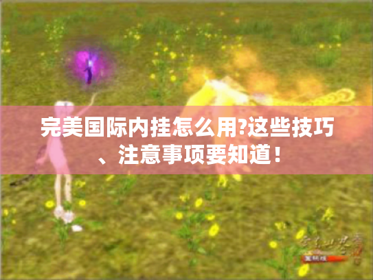 完美国际内挂怎么用?这些技巧、注意事项要知道! 完美国际内挂怎么用?这些技巧、注意事项要知道!