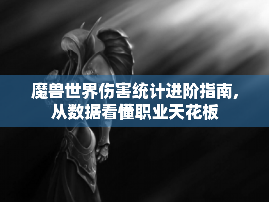 魔兽世界伤害统计进阶指南,从数据看懂职业天花板 魔兽世界伤害统计进阶指南,从数据看懂职业天花板