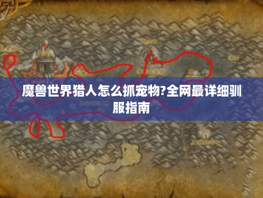 魔兽世界猎人怎么抓宠物?全网最详细驯服指南 魔兽世界猎人怎么抓宠物?全网最详细驯服指南