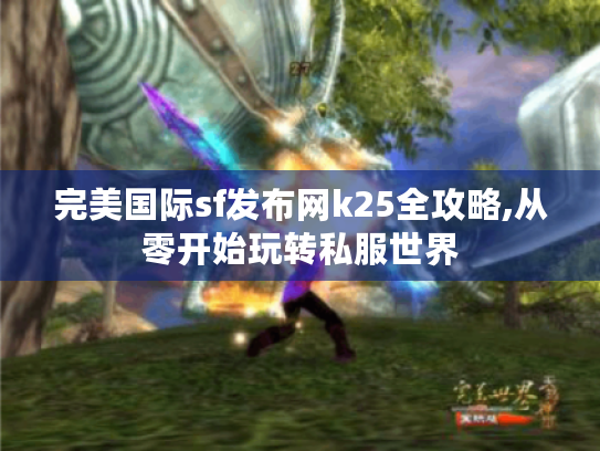 完美国际sf发布网k25全攻略,从零开始玩转私服世界 完美国际sf发布网k25全攻略,从零开始玩转私服世界
