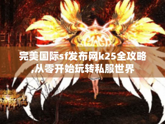 完美国际sf发布网k25全攻略,从零开始玩转私服世界 完美国际sf发布网k25全攻略,从零开始玩转私服世界