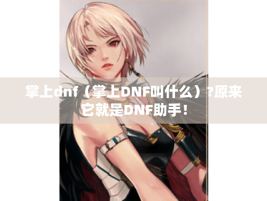 掌上dnf（掌上DNF叫什么）?原来它就是DNF助手！