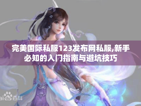 完美国际私服123发布网私服,新手必知的入门指南与避坑技巧