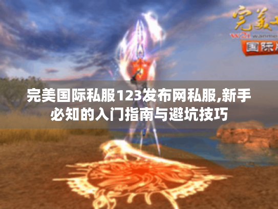 完美国际私服123发布网私服,新手必知的入门指南与避坑技巧