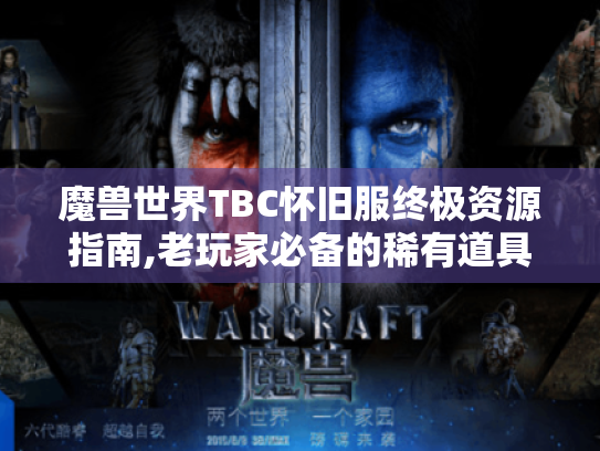 魔兽世界TBC怀旧服终极资源指南,老玩家必备的稀有道具与隐藏技巧 魔兽世界TBC怀旧服终极资源指南,老玩家必备的稀有道具与隐藏技巧