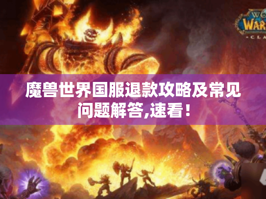 魔兽世界国服退款攻略及常见问题解答,速看! 魔兽世界国服退款攻略及常见问题解答,速看!