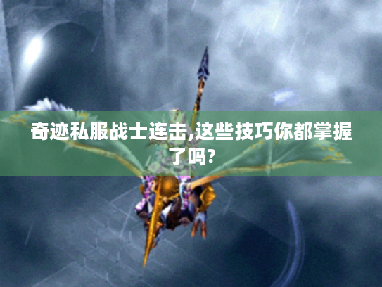 奇迹私服战士连击,这些技巧你都掌握了吗? 奇迹私服战士连击,这些技巧你都掌握了吗?