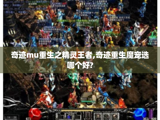 奇迹mu重生之精灵王者,奇迹重生魔宠选哪个好? 奇迹mu重生之精灵王者,奇迹重生魔宠选哪个好?