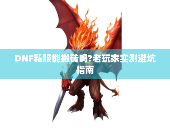 DNF私服能搬砖吗?老玩家实测避坑指南 DNF私服能搬砖吗?老玩家实测避坑指南
