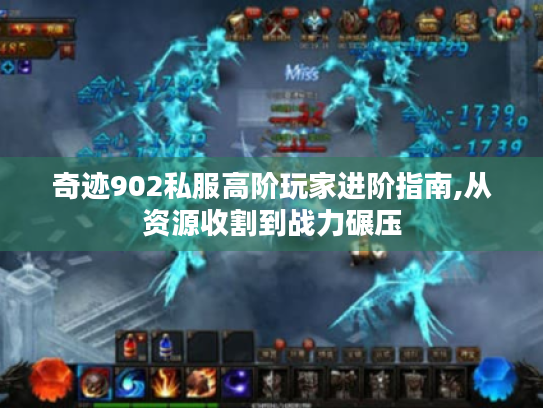 奇迹902私服高阶玩家进阶指南,从资源收割到战力碾压 奇迹902私服高阶玩家进阶指南,从资源收割到战力碾压