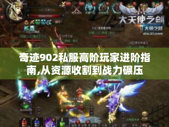 奇迹902私服高阶玩家进阶指南,从资源收割到战力碾压 奇迹902私服高阶玩家进阶指南,从资源收割到战力碾压