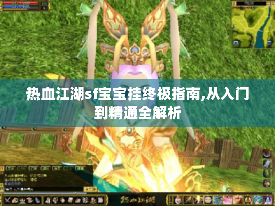 热血江湖sf宝宝挂终极指南,从入门到精通全解析 热血江湖sf宝宝挂终极指南,从入门到精通全解析