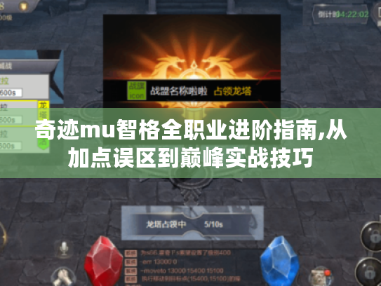 奇迹mu智格全职业进阶指南,从加点误区到巅峰实战技巧