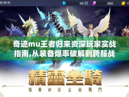 奇迹mu王者归来资深玩家实战指南,从装备爆率破解到跨服战独门心法 奇迹mu王者归来资深玩家实战指南,从装备爆率破解到跨服战独门心法